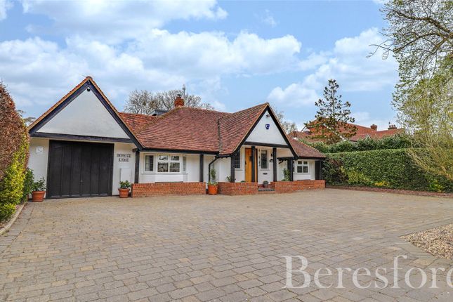 Thumbnail Bungalow for sale in Stondon Road, Ongar