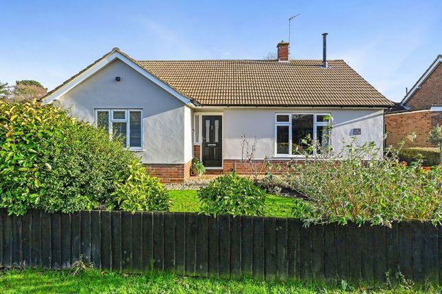 Thumbnail Detached bungalow for sale in Rose Hill, Grundisburgh, Woodbridge