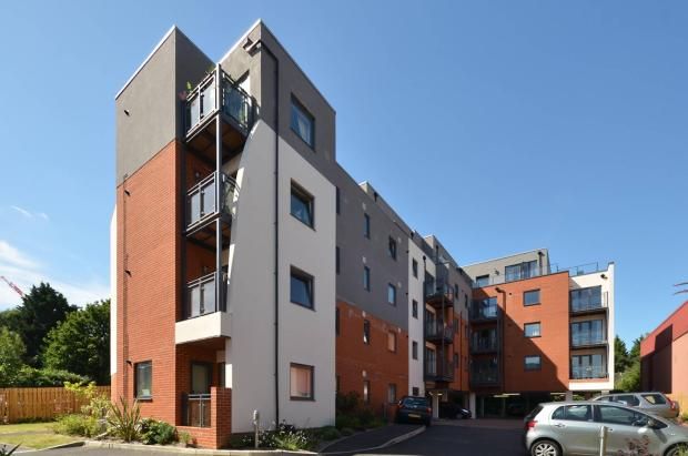 Flat to rent in King Edwards Court, Walnut Tree Close, Friary And St Nicolas GU1