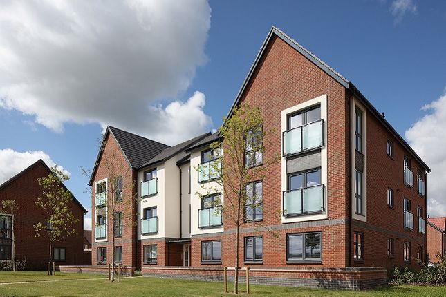 rugby homes