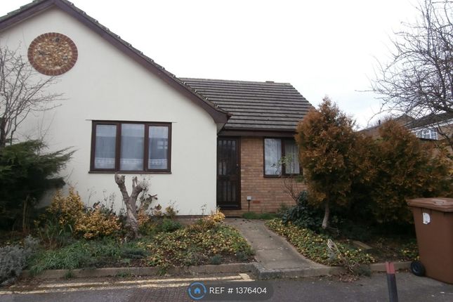 Thumbnail Bungalow to rent in Hollow Close, Guildford