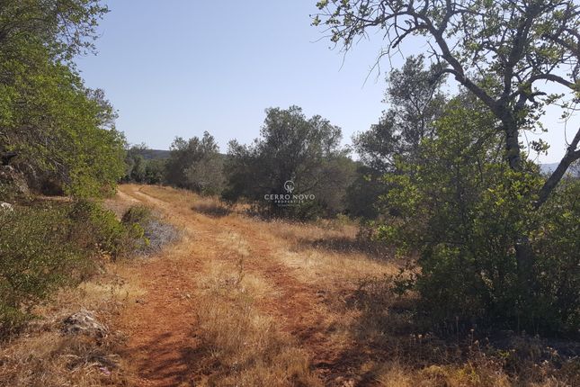 Land for sale in 8100 Alte, Portugal