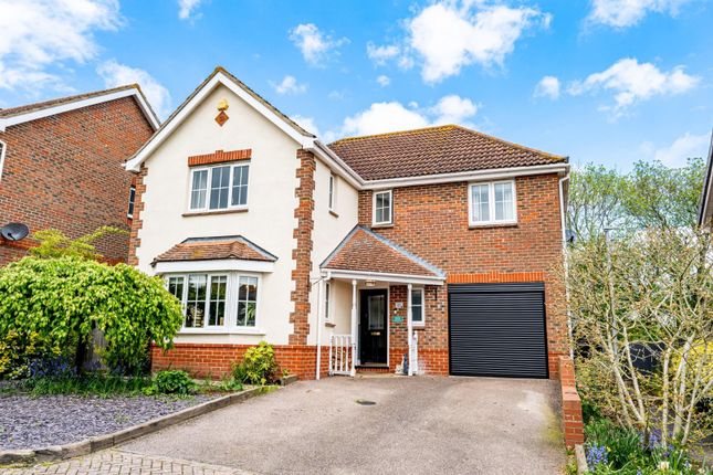 Thumbnail Detached house for sale in Berbice Lane, Dumow, Essex