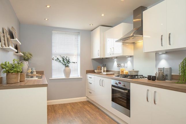 Bloor Homes Dorset Echo
