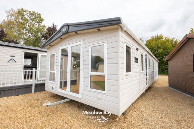 2019 Abi Beaumont 42x14 31.Jpg