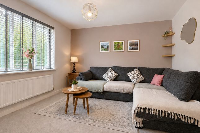 20, Potter Street, Cardiff photo 4