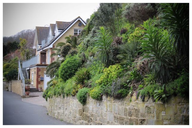 Property for sale in Undercliff Gardens, Ventnor, Isle Of Wight.