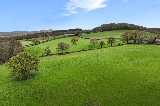 Knapp Farm Whole, Whitestaunton, Chard photo 2