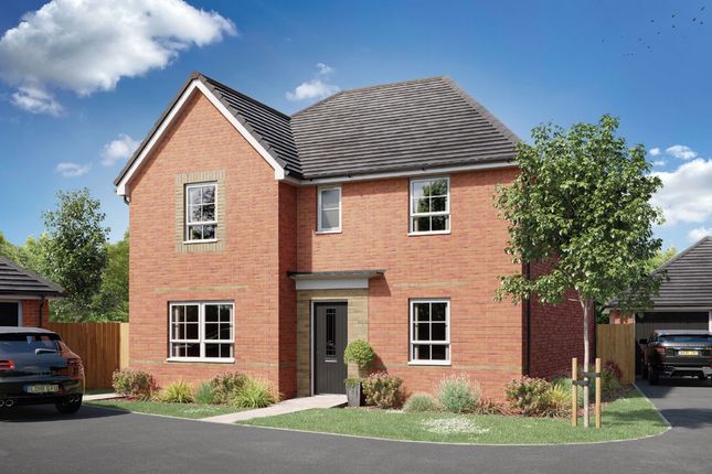 Thumbnail Detached house for sale in "Lamberton" at Cardamine Parade, Stafford
