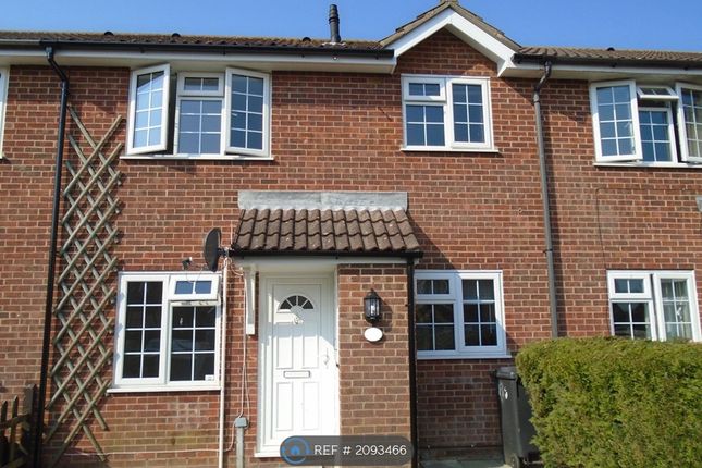 Thumbnail Terraced house to rent in Snowdon Close, Eastbourne