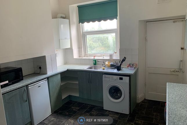 Thumbnail Terraced house to rent in Beech Hill Road, Sheffield