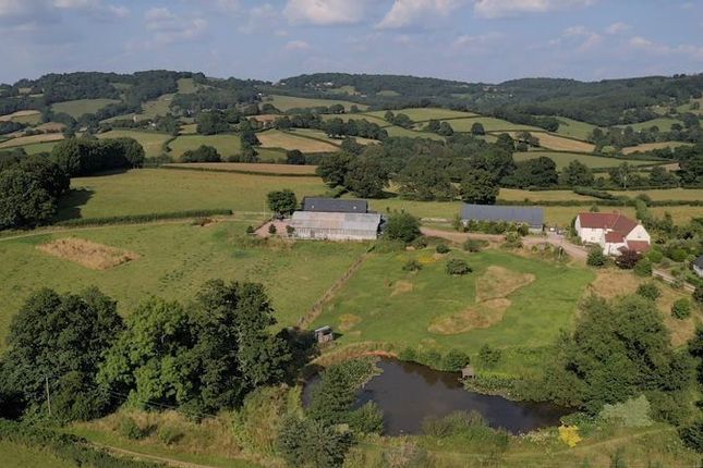 Thumbnail Commercial property for sale in Wern Gochen Farm, Cwmcarvan, Monmouth