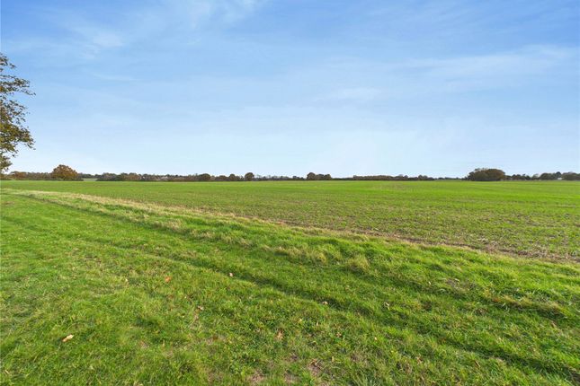 Hosdens Farmhouse,, Hosdens Lane, Halstead photo 2