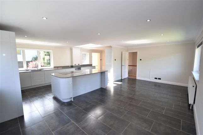 28, Archery Rise, Durham photo 3