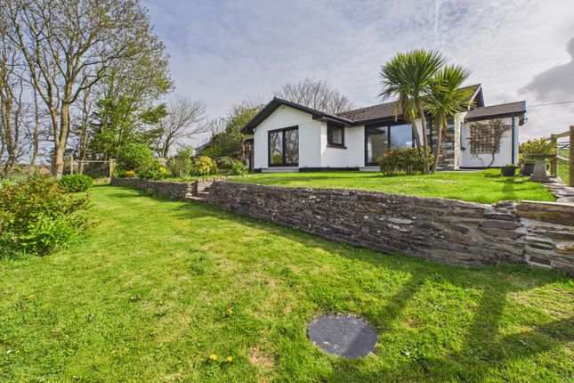 Megwyngala, Pinch Hill, Bude photo 2