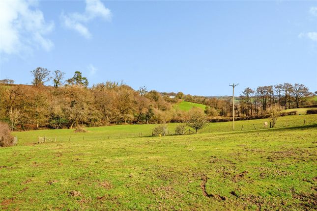 Sychpant Farm,, Cwmsychpant, Ceredigion photo 3