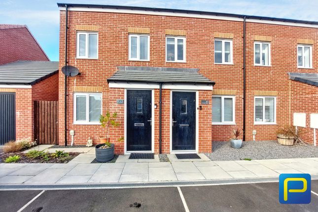Gannet Drive, Amble photo 2