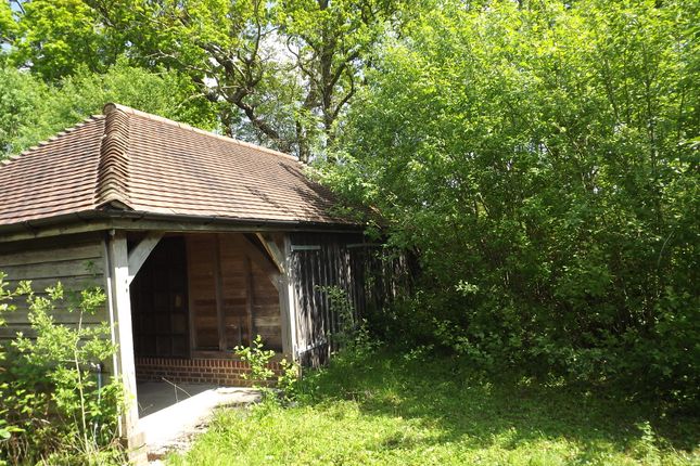 Thumbnail Barn conversion for sale in Burnt Oak Lane, Waldron, Heathfield