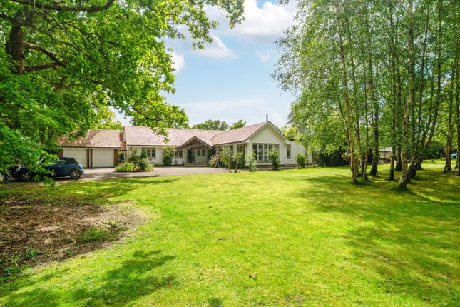 4-bed house on Oak Paddock, Mill Lane, Ringwood, £1,650,000