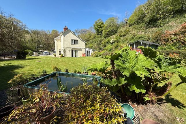 Glandewi, Llwyndafydd, Near Cwmtydu photo 3