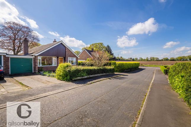Thumbnail Detached bungalow for sale in Neves Close, Lingwood