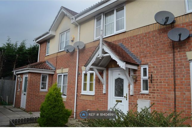 Thumbnail Terraced house to rent in Scholars Walk, Langley, Slough
