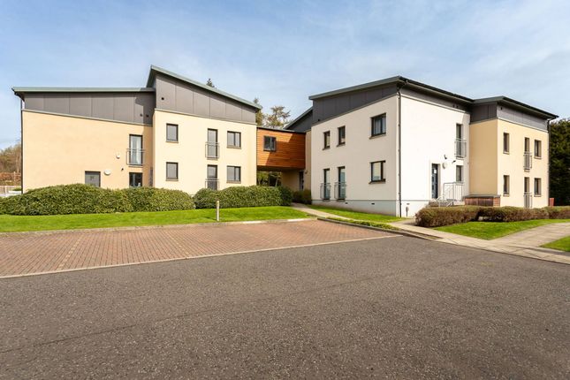 Thumbnail Terraced house for sale in Glamis Gardens, Dundee