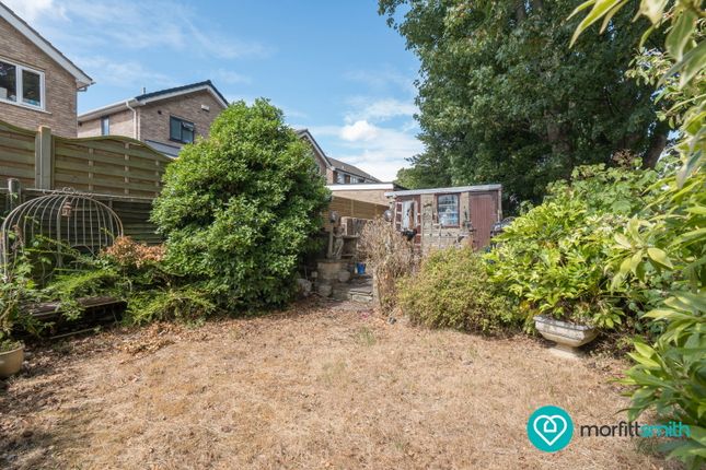 65, Walders Avenue, Sheffield photo 4