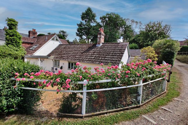 Stable Cottage, Lester Square, Ringwood photo 2