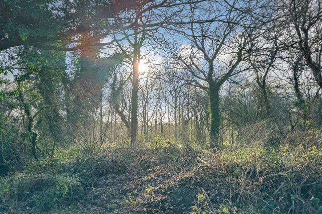 Thumbnail Land for sale in Buckwyns, Billericay, Essex
