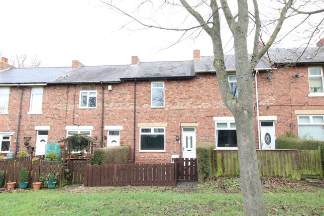 Thumbnail Terraced house to rent in West Spencer Terrace, Blucher, Newcastle Upon Tyne