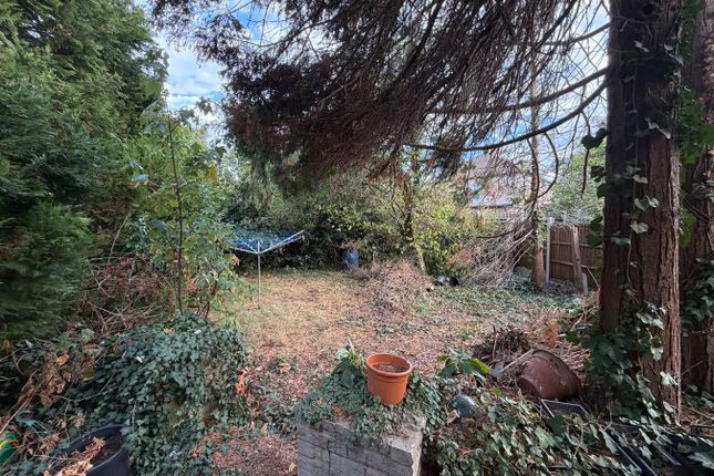 Clifford Grove, Ashford photo 4