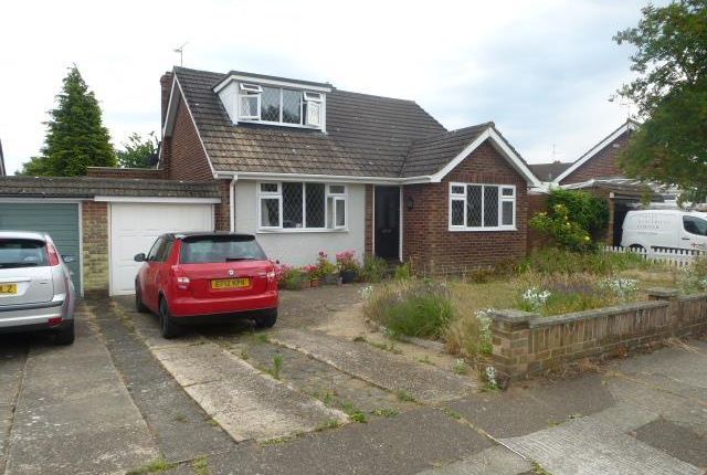 Thumbnail Bungalow to rent in Thompson Avenue, Colchester