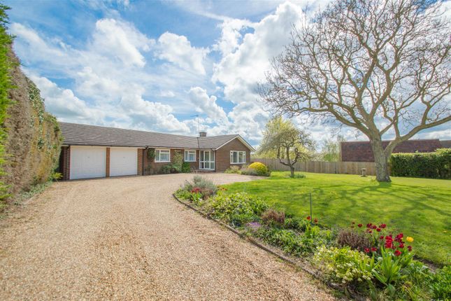 Thumbnail Detached bungalow to rent in The Street, Great Wratting, Suffolk