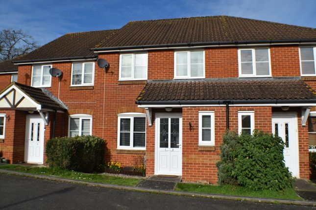 Thumbnail Terraced house to rent in The Beeches, North Petherton, Bridgwater