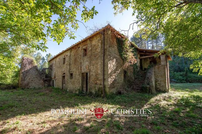 Thumbnail Detached house for sale in Monte Santa Maria Tiberina, 06010, Italy