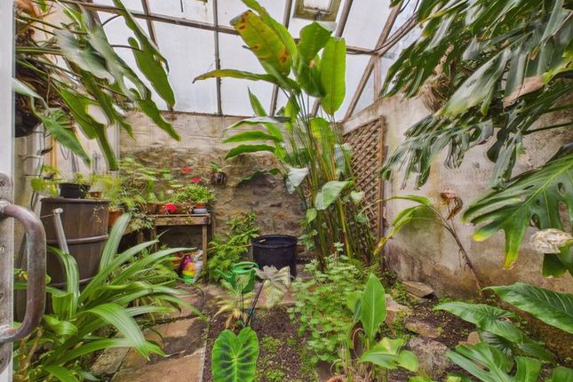 Greenhouse