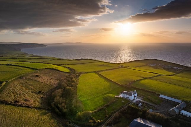 Thumbnail Detached house for sale in Cippin, St Dogmaels, Cardigan