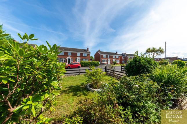 52 Albany Road, Bangor photo 4