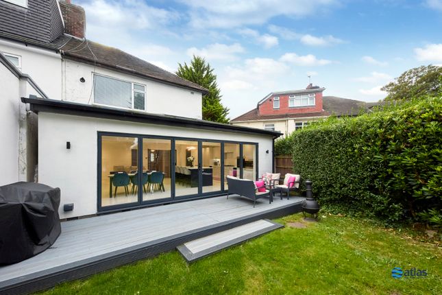 Back Garden/Patio