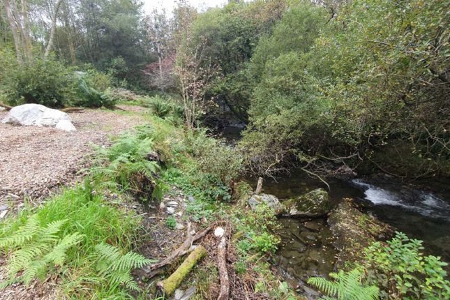 Land for sale in Upper Corris, Machynlleth