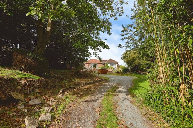 Abinger, Bradford Lane, Sherborne photo 2