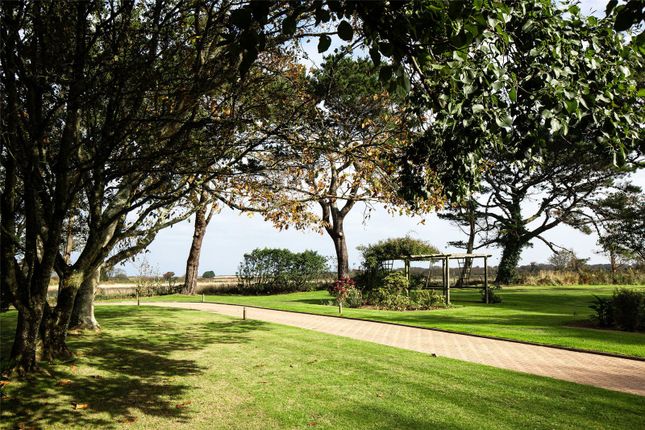 Jardin A Pommiers,, Jardin A Pommiers, St Mary photo 4