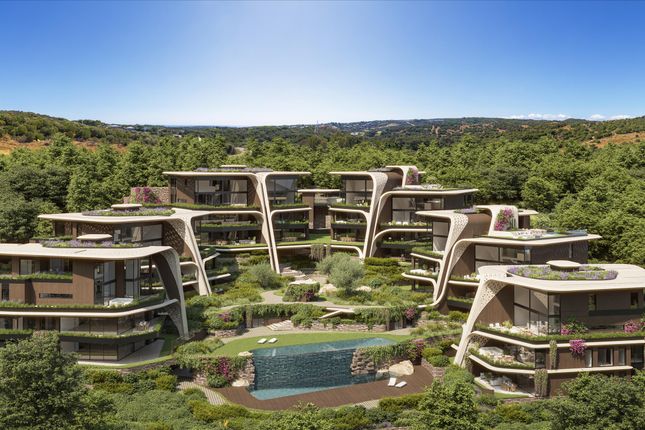 Thumbnail Apartment for sale in Sotogrande, Andalucía, Spain