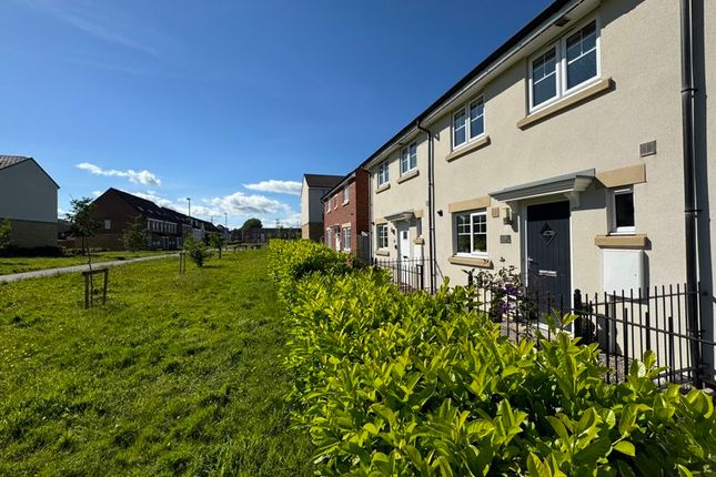 Thumbnail Terraced house for sale in Klondyke Walk, Blaydon-On-Tyne