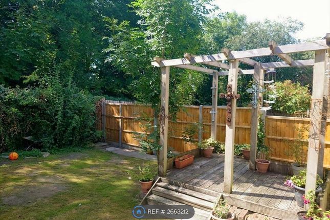Woodhatch Spinney, Coulsdon photo 2