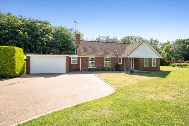 Thumbnail Detached bungalow for sale in Long Wood Drive, Beaconsfield