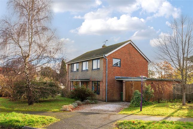 Thumbnail Detached house for sale in Stafford Road, Petersfield, Hampshire