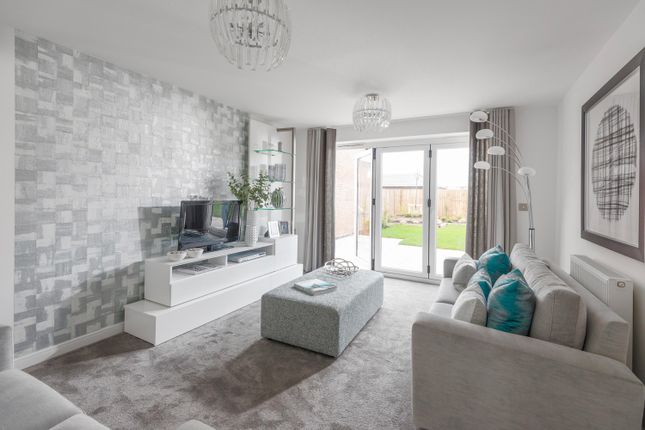 Showhome Photography