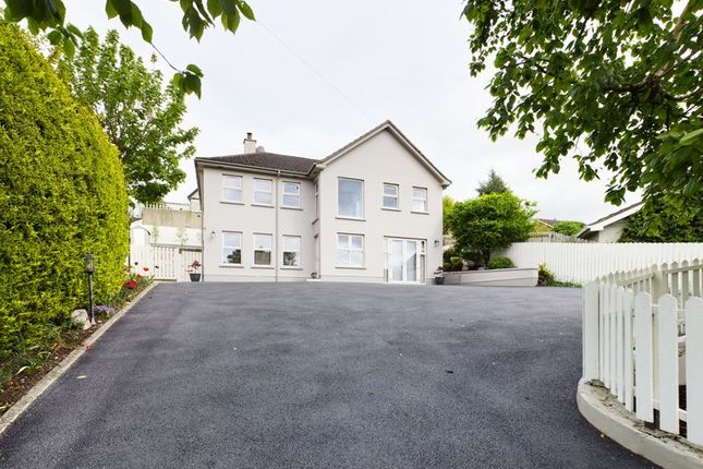 Thumbnail Detached house for sale in Ashgrove Road, Newry